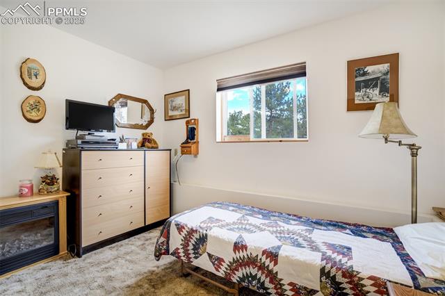 MLS Image for 2134  Homestake  ,Florissant, Colorado