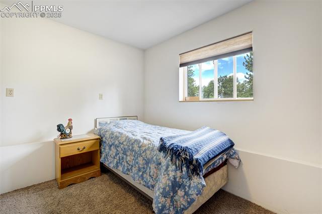 MLS Image for 2134  Homestake  ,Florissant, Colorado