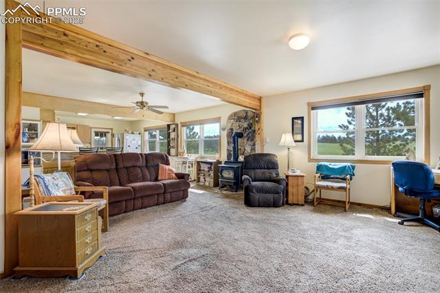 MLS Image for 2134  Homestake  ,Florissant, Colorado