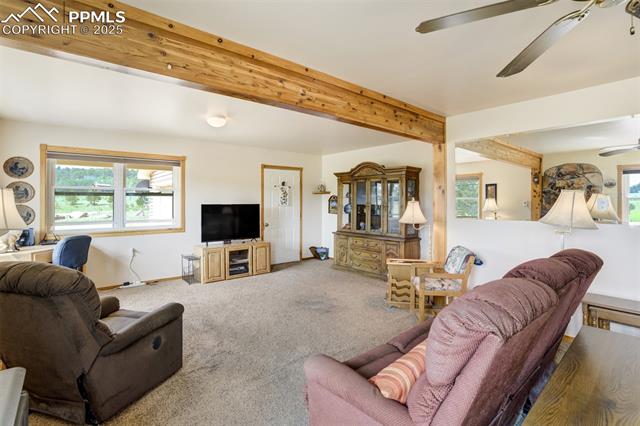 MLS Image for 2134  Homestake  ,Florissant, Colorado