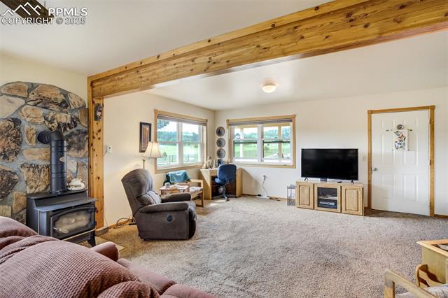 MLS Image for 2134  Homestake  ,Florissant, Colorado