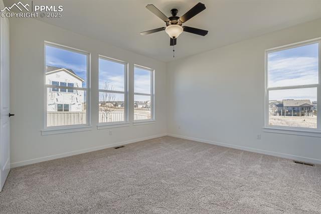 MLS Image for 8436  William Downing  ,Colorado Springs, Colorado