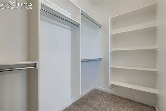 MLS Image for 8436  William Downing  ,Colorado Springs, Colorado