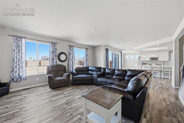 MLS Image for 12810  Windingwalk  ,Peyton, Colorado