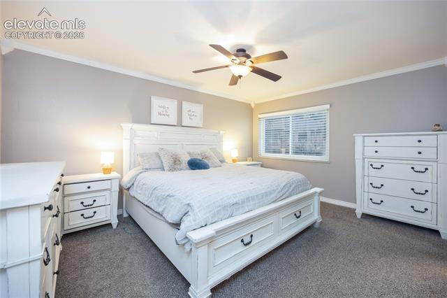 MLS Image for 975  Tari  ,Colorado Springs, Colorado