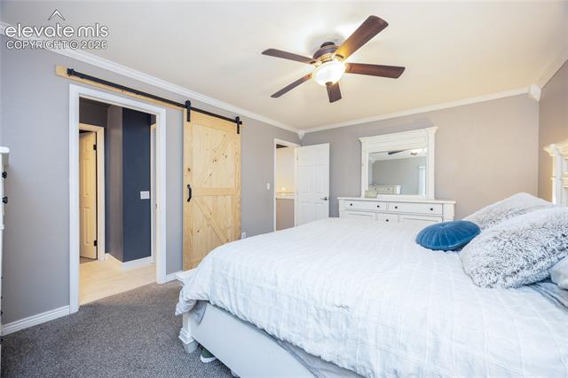MLS Image for 975  Tari  ,Colorado Springs, Colorado