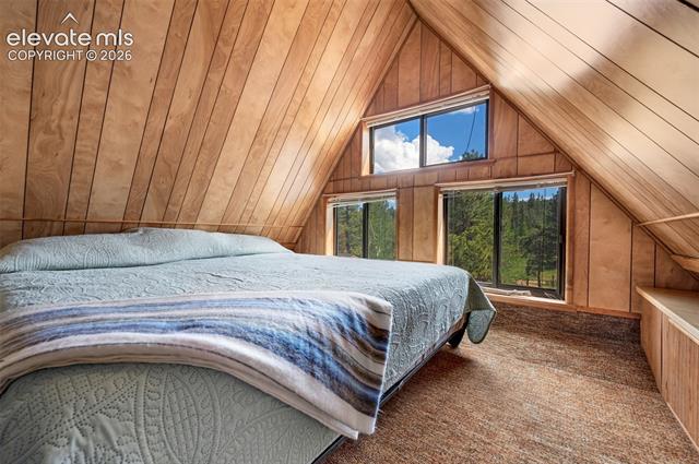 MLS Image for 215  Valley  ,Florissant, Colorado