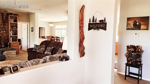 MLS Image for 324  Pike View  ,Florissant, Colorado
