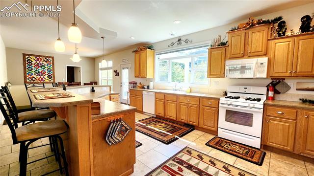 MLS Image for 324  Pike View  ,Florissant, Colorado