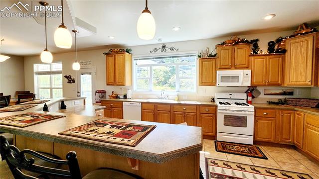 MLS Image for 324  Pike View  ,Florissant, Colorado