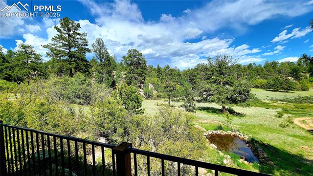 MLS Image for 324  Pike View  ,Florissant, Colorado
