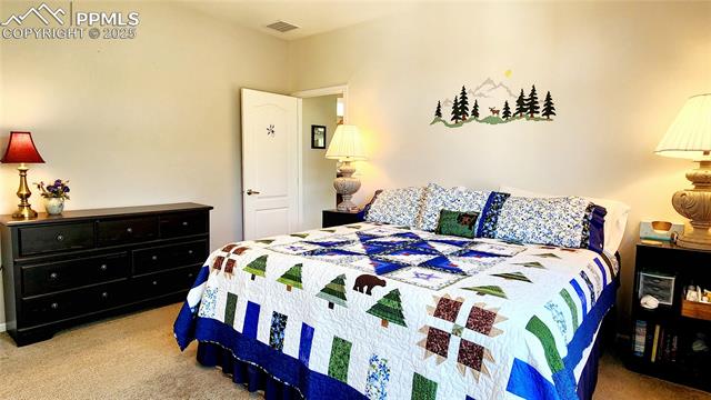 MLS Image for 324  Pike View  ,Florissant, Colorado
