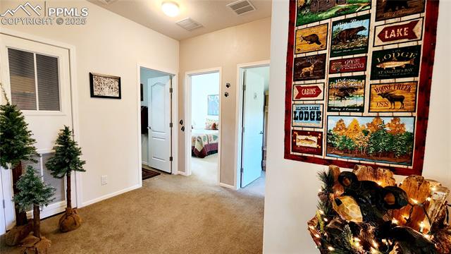 MLS Image for 324  Pike View  ,Florissant, Colorado