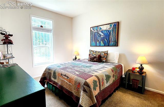 MLS Image for 324  Pike View  ,Florissant, Colorado
