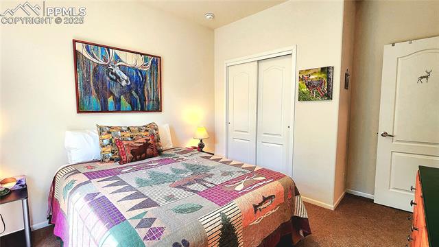 MLS Image for 324  Pike View  ,Florissant, Colorado