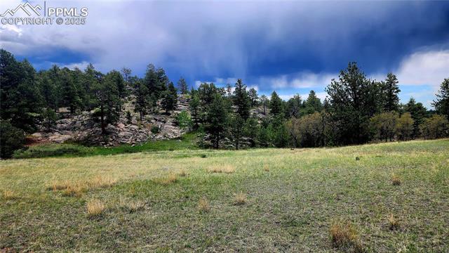 MLS Image for 324  Pike View  ,Florissant, Colorado