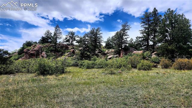 MLS Image for 324  Pike View  ,Florissant, Colorado