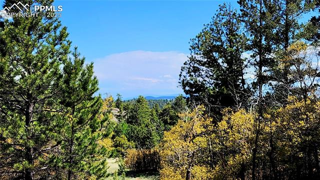 MLS Image for 324  Pike View  ,Florissant, Colorado