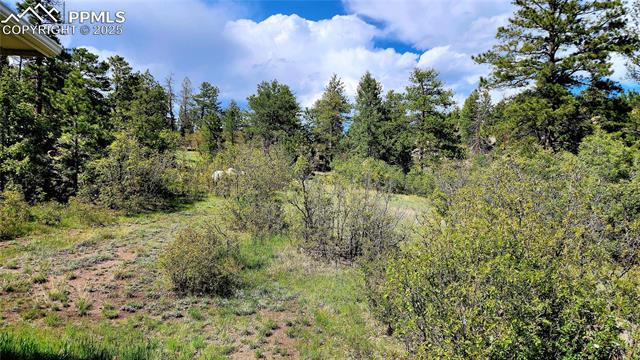 MLS Image for 324  Pike View  ,Florissant, Colorado