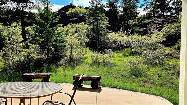 MLS Image for 324  Pike View  ,Florissant, Colorado