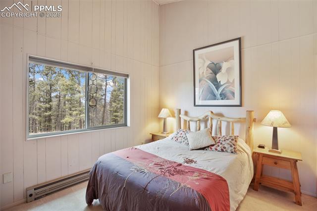 MLS Image for 130  Oak  ,Florissant, Colorado