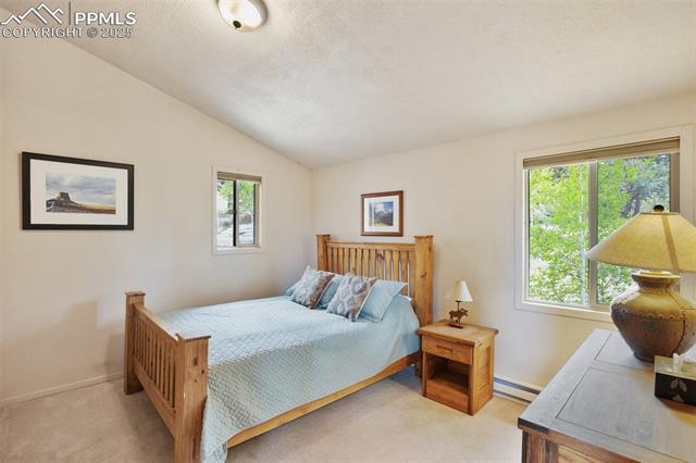 MLS Image for 130  Oak  ,Florissant, Colorado