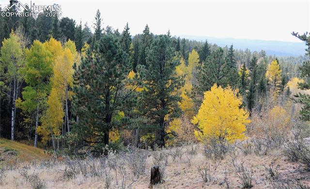 MLS Image for 130  Oak  ,Florissant, Colorado