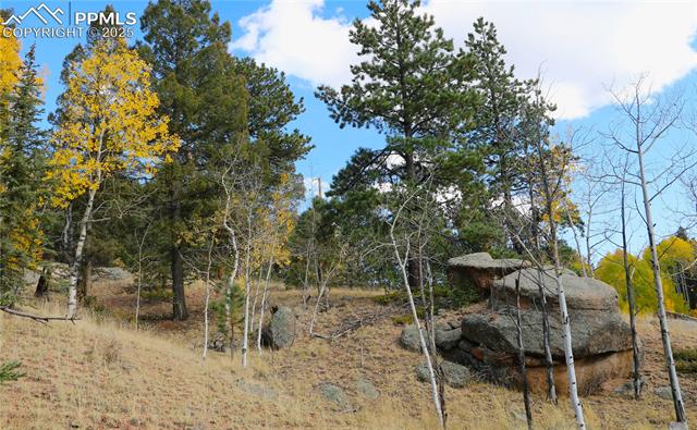 MLS Image for 130  Oak  ,Florissant, Colorado