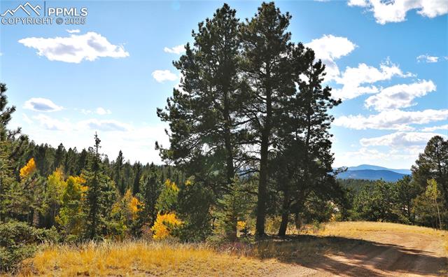MLS Image for 130  Oak  ,Florissant, Colorado