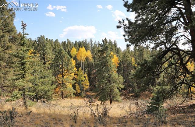 MLS Image for 130  Oak  ,Florissant, Colorado