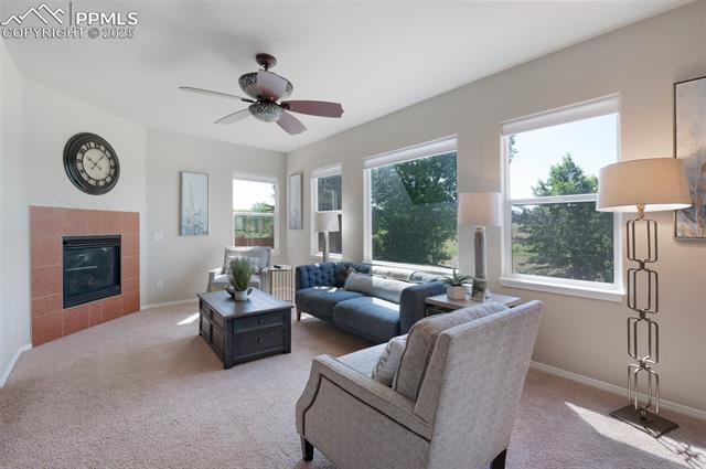 MLS Image for 14687  Air Garden  ,Colorado Springs, Colorado