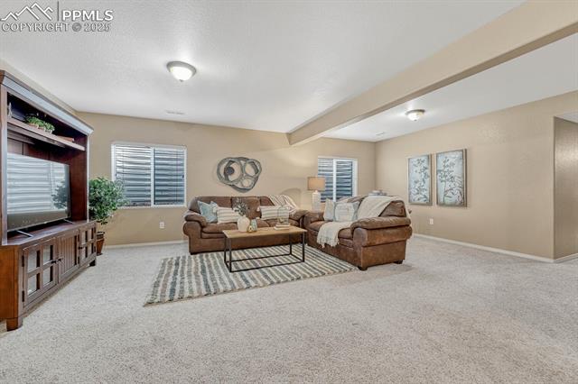 MLS Image for 3885  Cherry Plum  ,Colorado Springs, Colorado