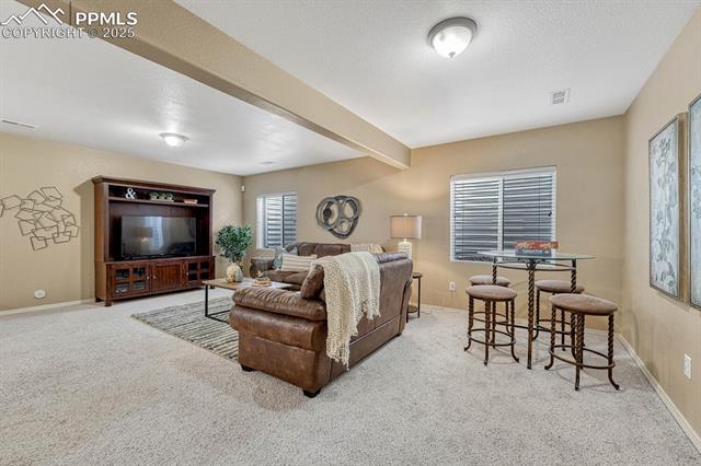 MLS Image for 3885  Cherry Plum  ,Colorado Springs, Colorado