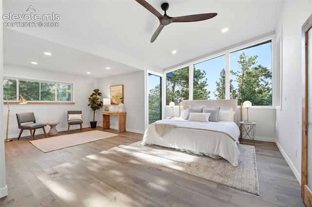 MLS Image for 17  Pine  ,Colorado Springs, Colorado