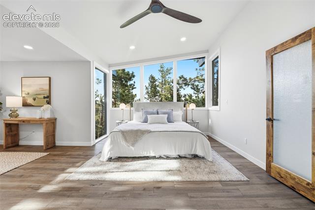 MLS Image for 17  Pine  ,Colorado Springs, Colorado
