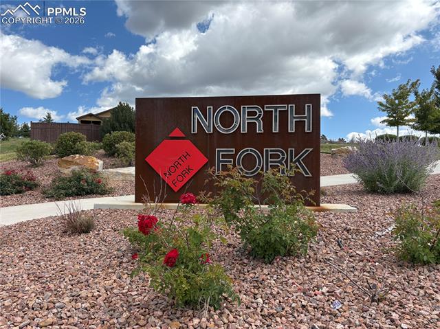 MLS Image for 3718  Sky Rim  ,Colorado Springs, Colorado