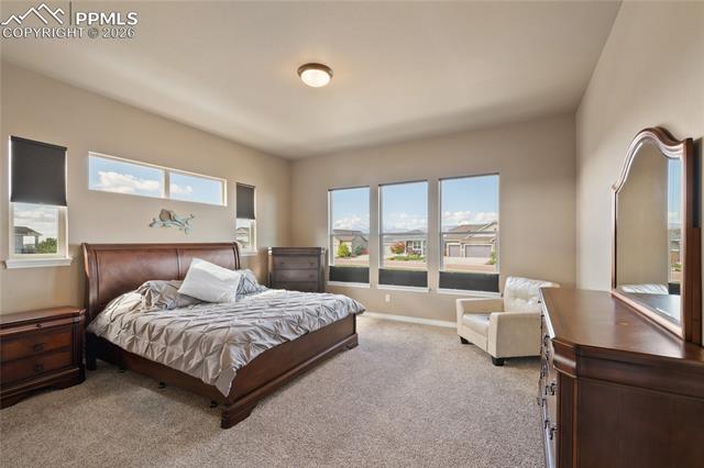 MLS Image for 3718  Sky Rim  ,Colorado Springs, Colorado