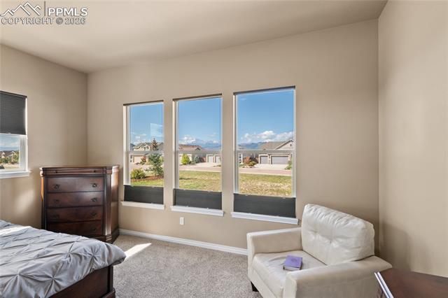 MLS Image for 3718  Sky Rim  ,Colorado Springs, Colorado