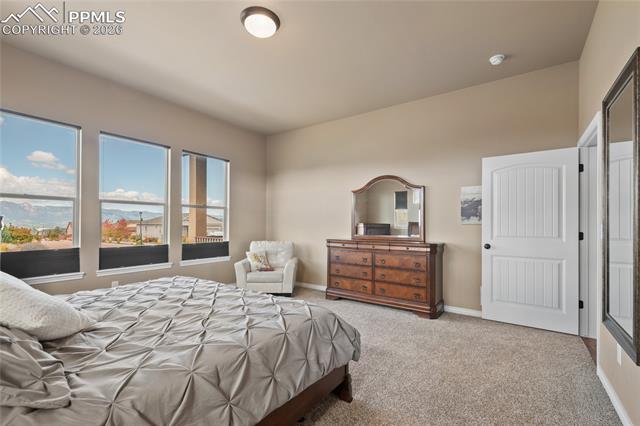 MLS Image for 3718  Sky Rim  ,Colorado Springs, Colorado