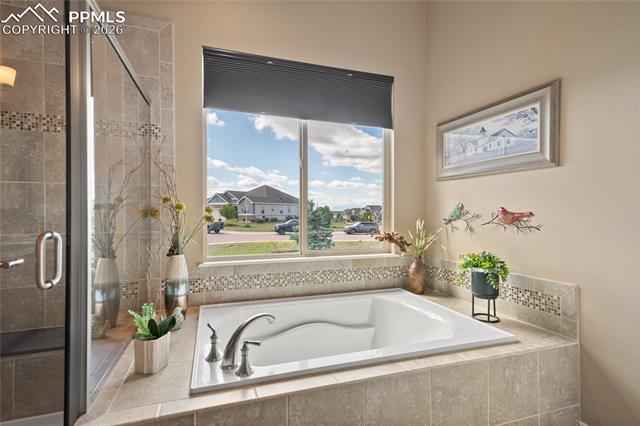 MLS Image for 3718  Sky Rim  ,Colorado Springs, Colorado