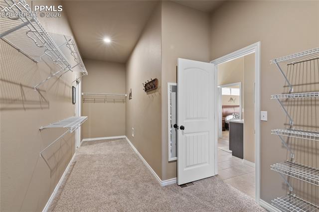 MLS Image for 3718  Sky Rim  ,Colorado Springs, Colorado