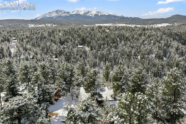 MLS Image for 208  Illini  ,Woodland Park, Colorado