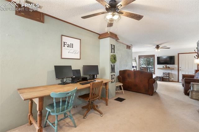 MLS Image for 208  Illini  ,Woodland Park, Colorado