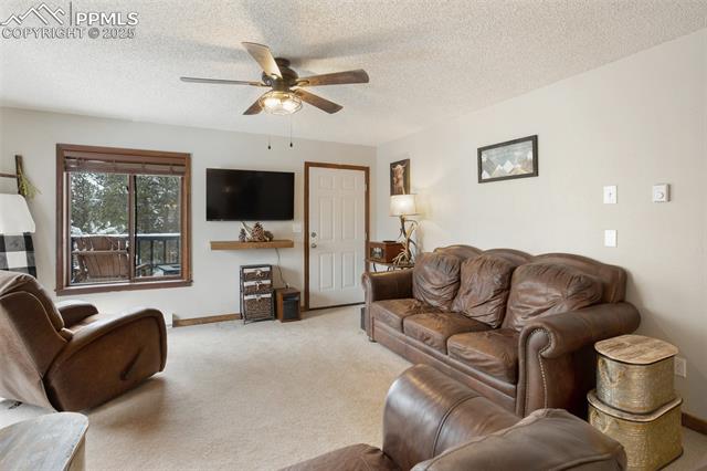 MLS Image for 208  Illini  ,Woodland Park, Colorado