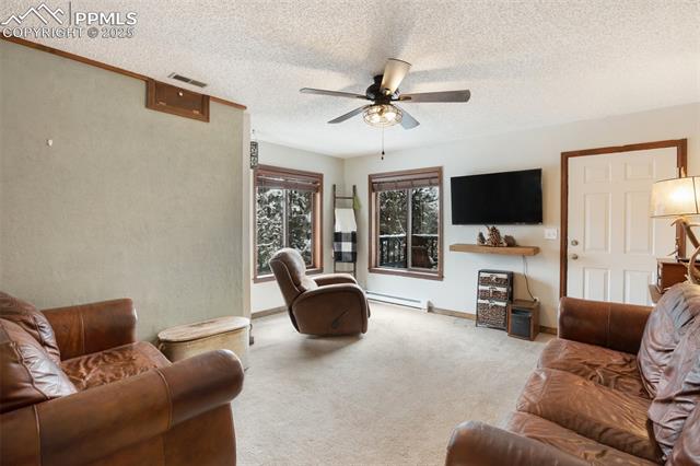MLS Image for 208  Illini  ,Woodland Park, Colorado