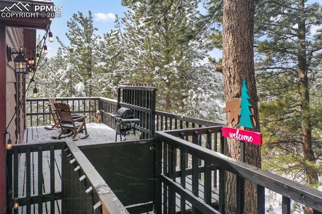 MLS Image for 208  Illini  ,Woodland Park, Colorado