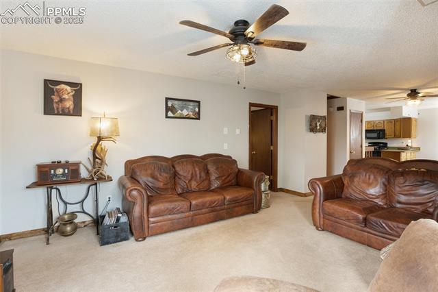 MLS Image for 208  Illini  ,Woodland Park, Colorado