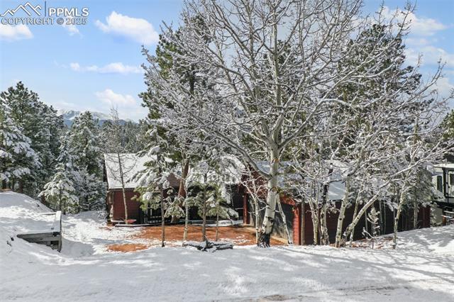 MLS Image for 208  Illini  ,Woodland Park, Colorado
