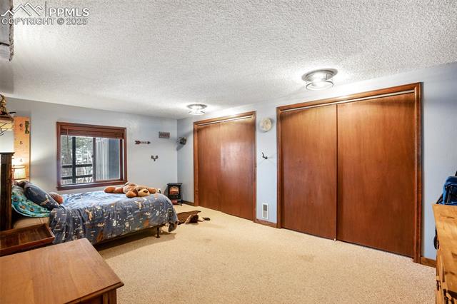 MLS Image for 208  Illini  ,Woodland Park, Colorado