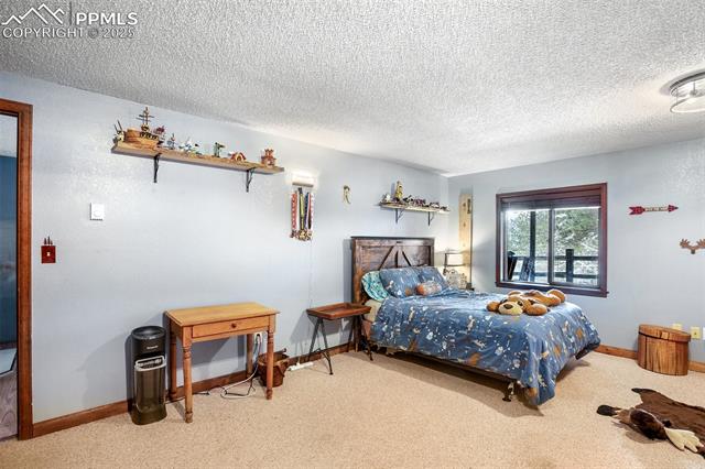 MLS Image for 208  Illini  ,Woodland Park, Colorado